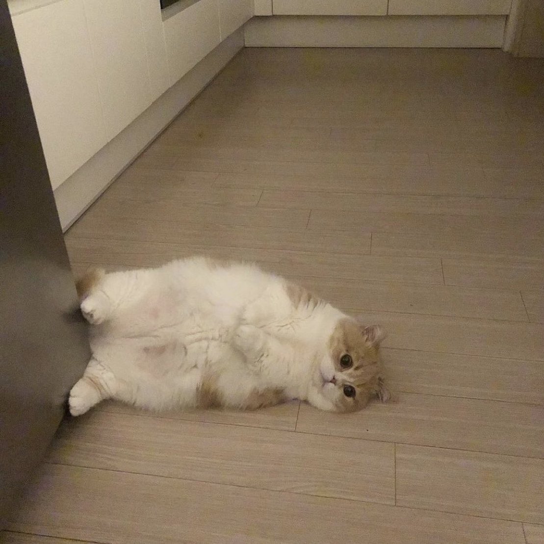PAVGOD's tweet photo. when u feel a sudden wave of ˢᵃᵈⁿᵉˢˢ https://t.co/hRs82vVp4R