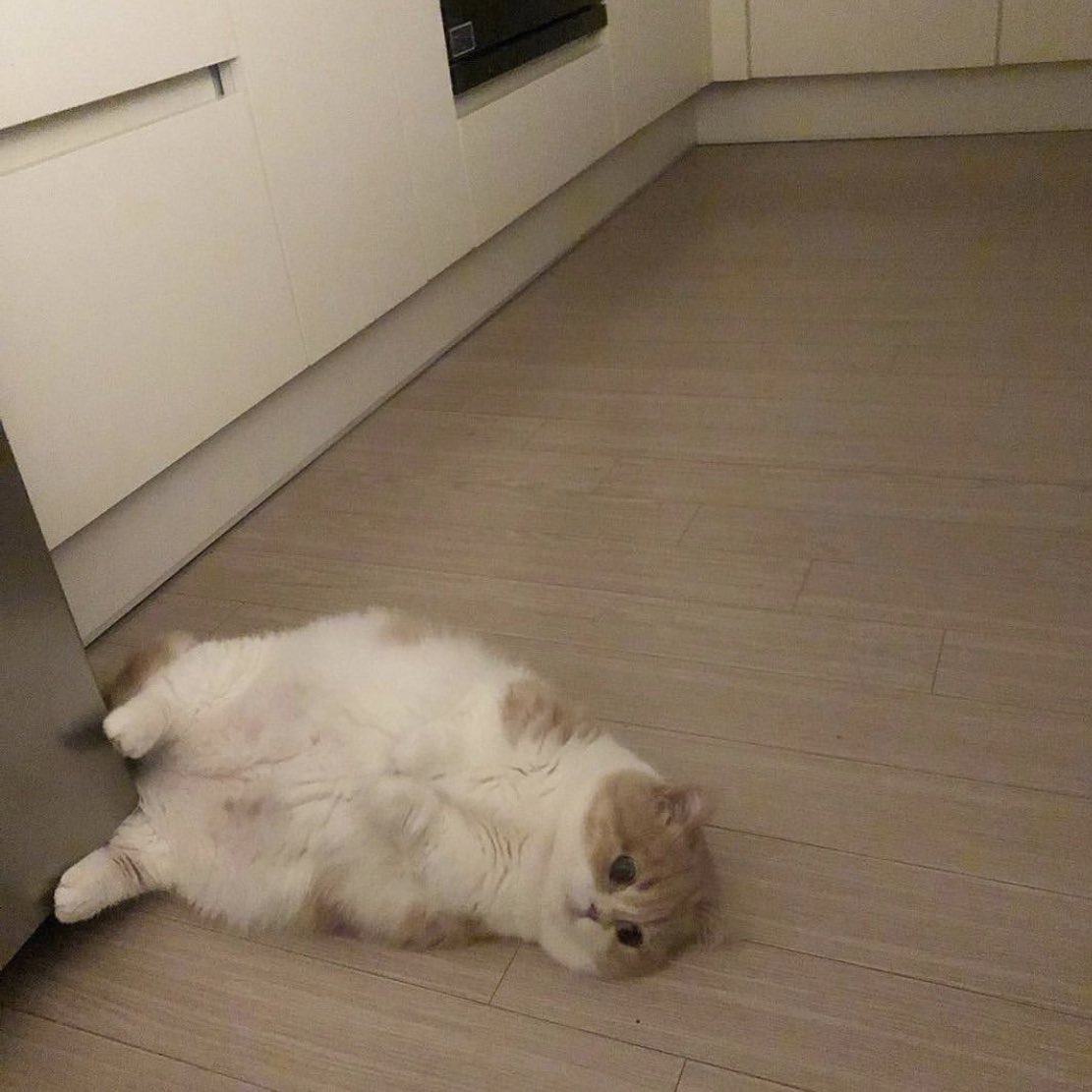 PAVGOD's tweet photo. when u feel a sudden wave of ˢᵃᵈⁿᵉˢˢ https://t.co/hRs82vVp4R