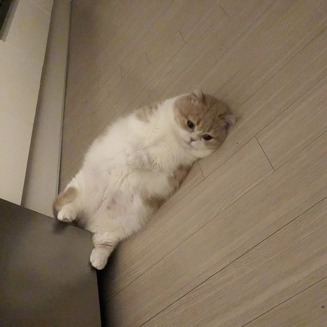 PAVGOD's tweet photo. when u feel a sudden wave of ˢᵃᵈⁿᵉˢˢ https://t.co/hRs82vVp4R