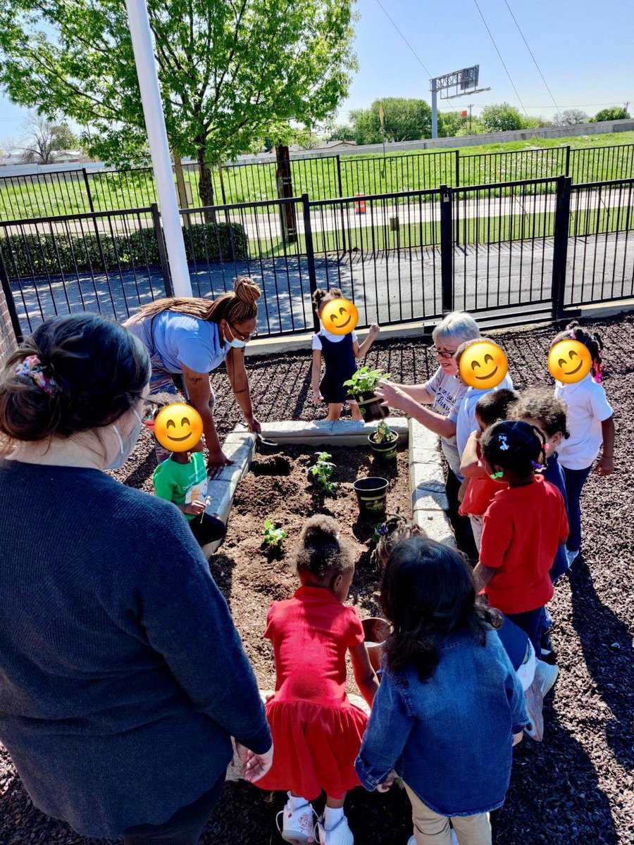mapymol's tweet photo. Gardening teaches young learners responsibility to caring for plants, understanding as they learn about cause and effect, and self-confidence from achieving their goals. Register your child in PreK today! #PreKPartnerships @ICanReadDallas @DrElenaSHill @Mo1Ramirez https://t.co/hqxKFj9VTx