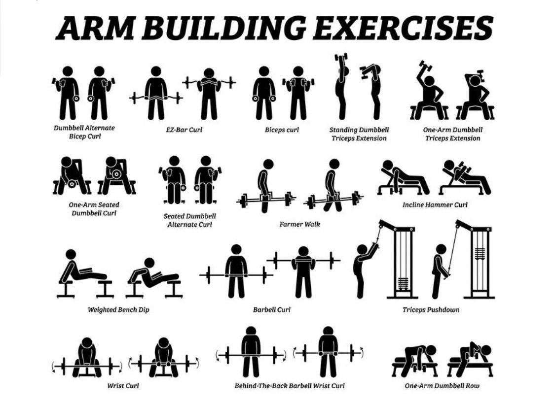 Use this chart to build the arms you’ve always wanted!!!! -add weight each set till you can’t get quality reps and then go back down with 2 same weights. #exercise #fitness #fitfam #fitspo #hardwork #training #push #pull #weightloss #wednesdaythought