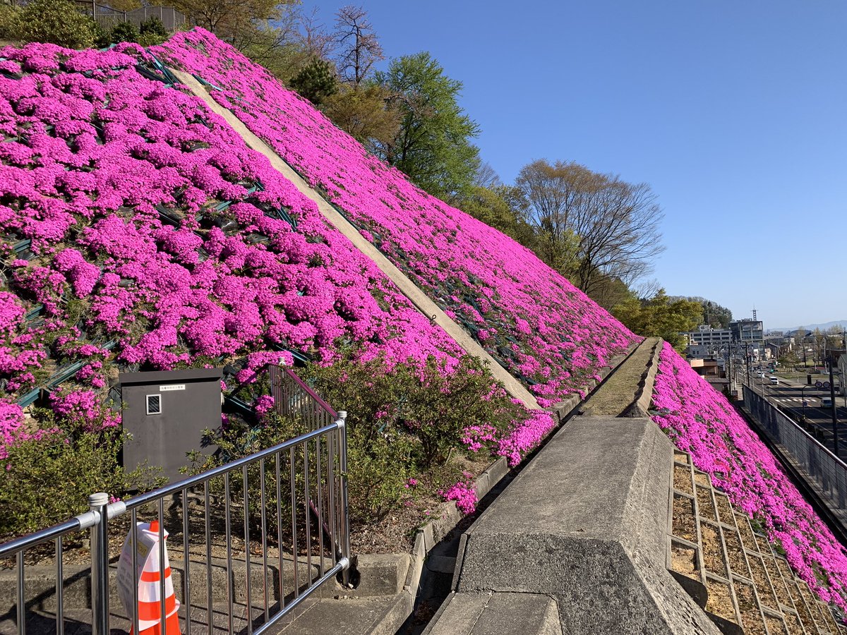 鯖江市西山動物園 Nishiyama Zoo Twitter 鯖江市西山動物園 Nishiyama Zoo Twitter