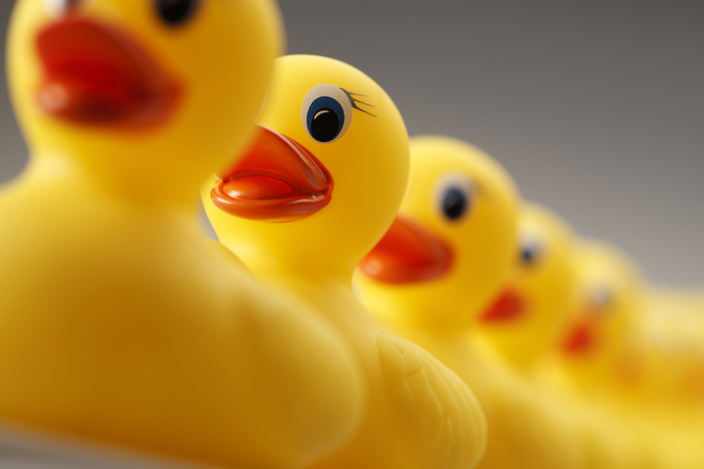 ECHLWeek's tweet photo. This is the time of year when buyers place their ducks in a row. Organize finances, interview lenders to determine how much home you can afford … and hire a real estate agent. Let @WillSpringerRE help you open new doors.
#WillSpringerRealtor #JohnLScottRealEstate https://t.co/roUvpKn4OG