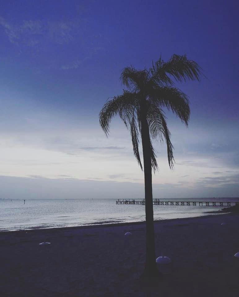 TheInnatLittle1's tweet photo. What a wonderful day on the beach~ #beachday #theinnatlittleharbor #ruskin Instagram Photo Credit: lenveronica https://t.co/VLTbAv8nhX