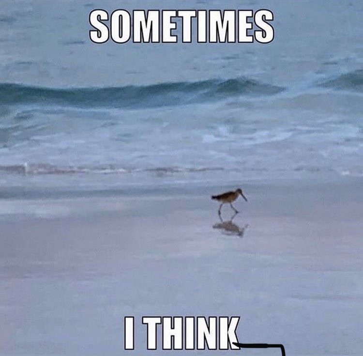 Kiwi (@_kiwirl) on Twitter photo 