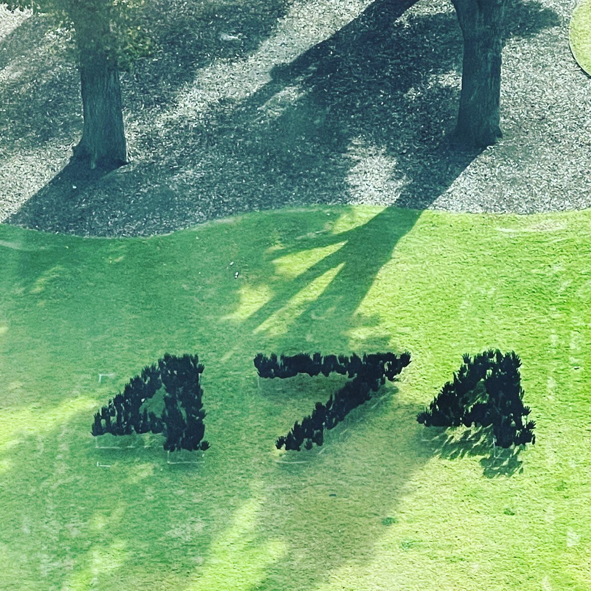 Ej Cubillo tweet media