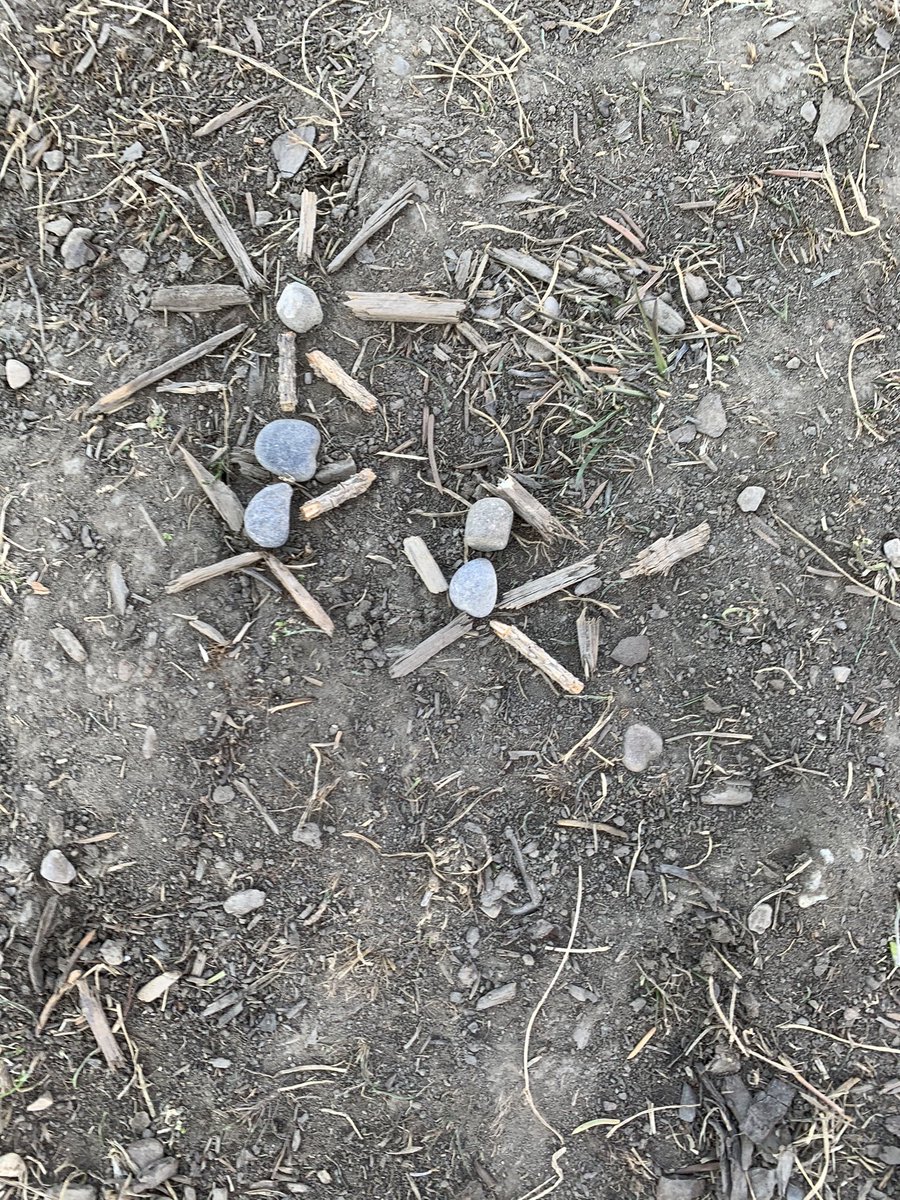 Rebecca MacLellan tweet media