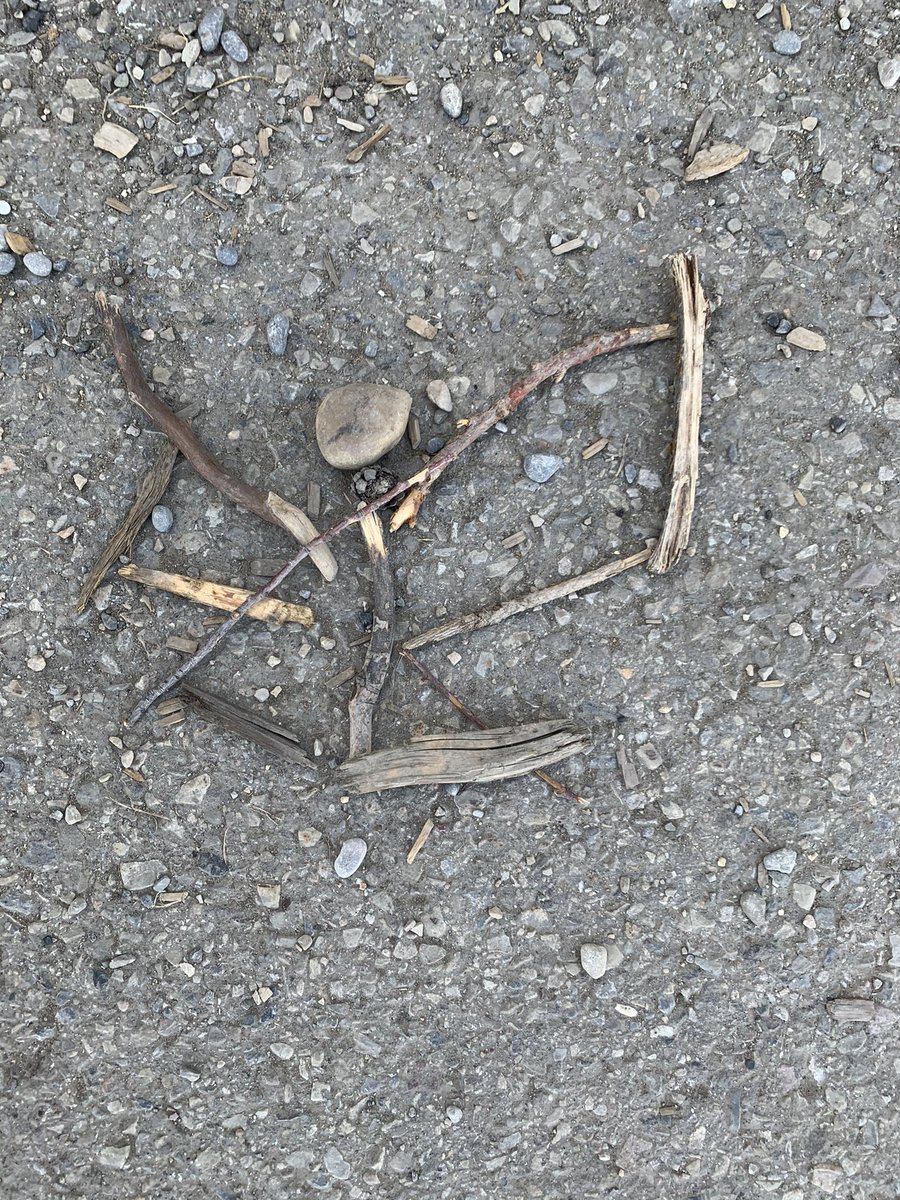 Rebecca MacLellan tweet media