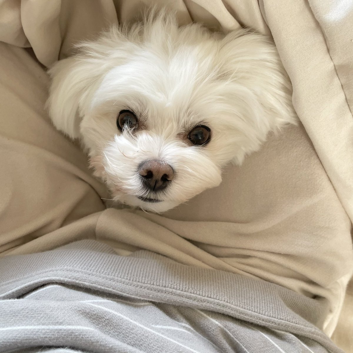 aimisa0805's tweet photo. 今日もかあいね https://t.co/Kl6jMIxCUr