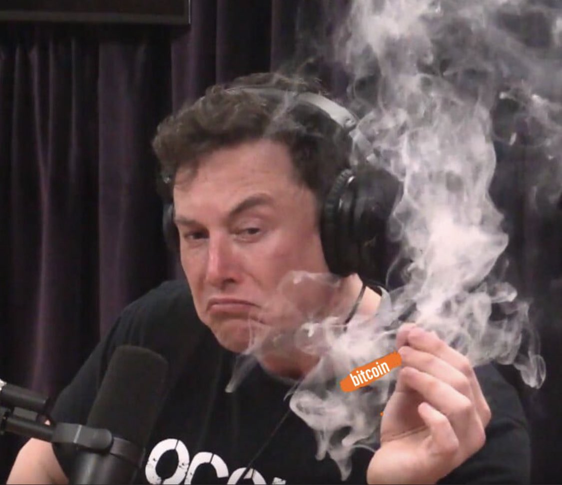 trylolli's tweet photo. Elon thinking about what to tweet to send bitcoin to $69,420 on 4/20 https://t.co/78fXqRIdSg