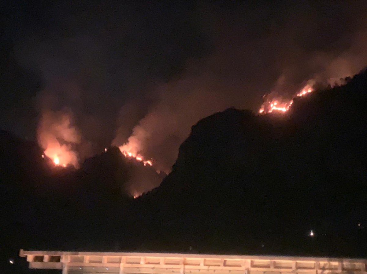 enrique lomnitz tweet media