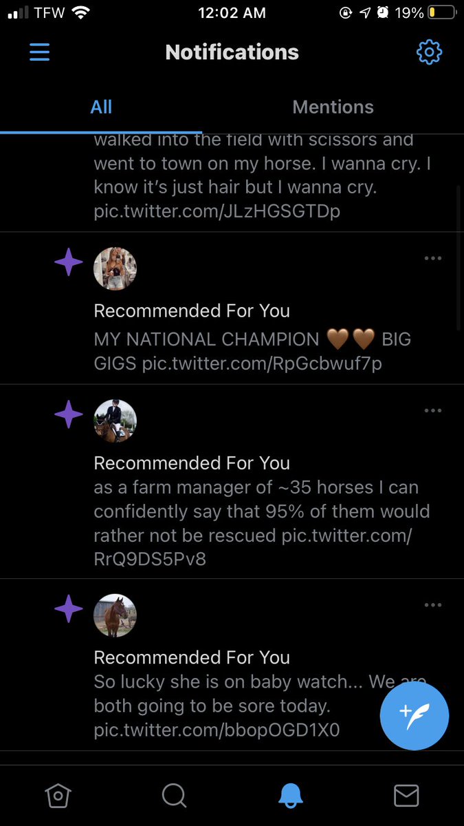 rewargo810's tweet photo. Hi Twitter. I would like to say one thing and one thing only. I AM NOT A HORSE GIRL, NOR HAVE I EVER BEEN SO IF YOU COULD STOP “RECOMMENDING” HORSE ACCOUNTS AND HORSE POST ID APPRECIATE IT VERY MUCH.

I’ve been holding this in for 2 weeks and it needed to be said. https://t.co/fZSSpJPWBK