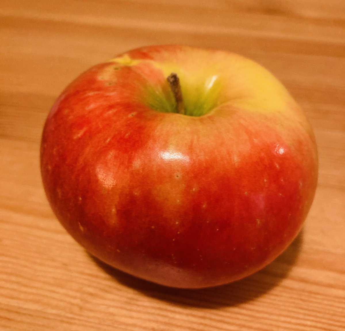 JohannaWard's tweet photo. I don’t know if I’m late to the party, but I recently discovered #sugarbee apples at my local produce store and they are so good!!! I’m hooked 🐝🍎❤️ https://t.co/oyyd1M4jZx