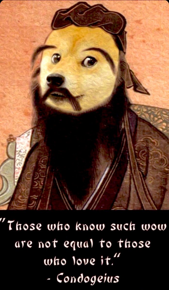 st_invests's tweet photo. Borrowed this from @kokid951 #dogewisdom #doge #DogecoinToTheMoon #DogecoinRise #Dogecoins #dogearmy https://t.co/aTOeESw999