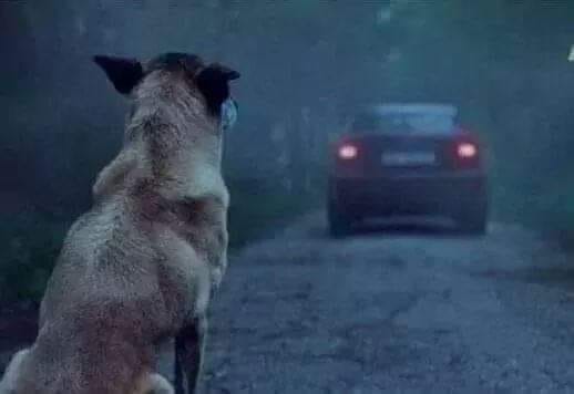 ''não existe pecado mais vergonhoso do que enganar alguém que acreditou sempre em você''