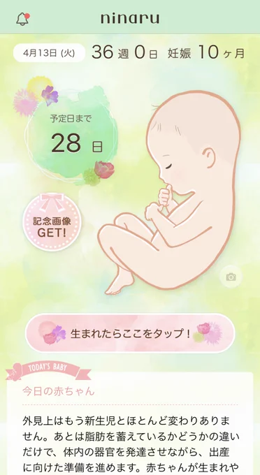 ムッスメ1歳11ヶ月
ニッシ36週突入で臨月入りました ヒィ…

「生まれたらここをタップ」という表示が追加されていきなり臨場感マシマシ…

でも正期産は37週とされているので今産まれてもまだ早産扱いだそうな。
ややこしやな

ムッスメは38週で産まれたし
ちょっともういい加減準備詰めますね… 