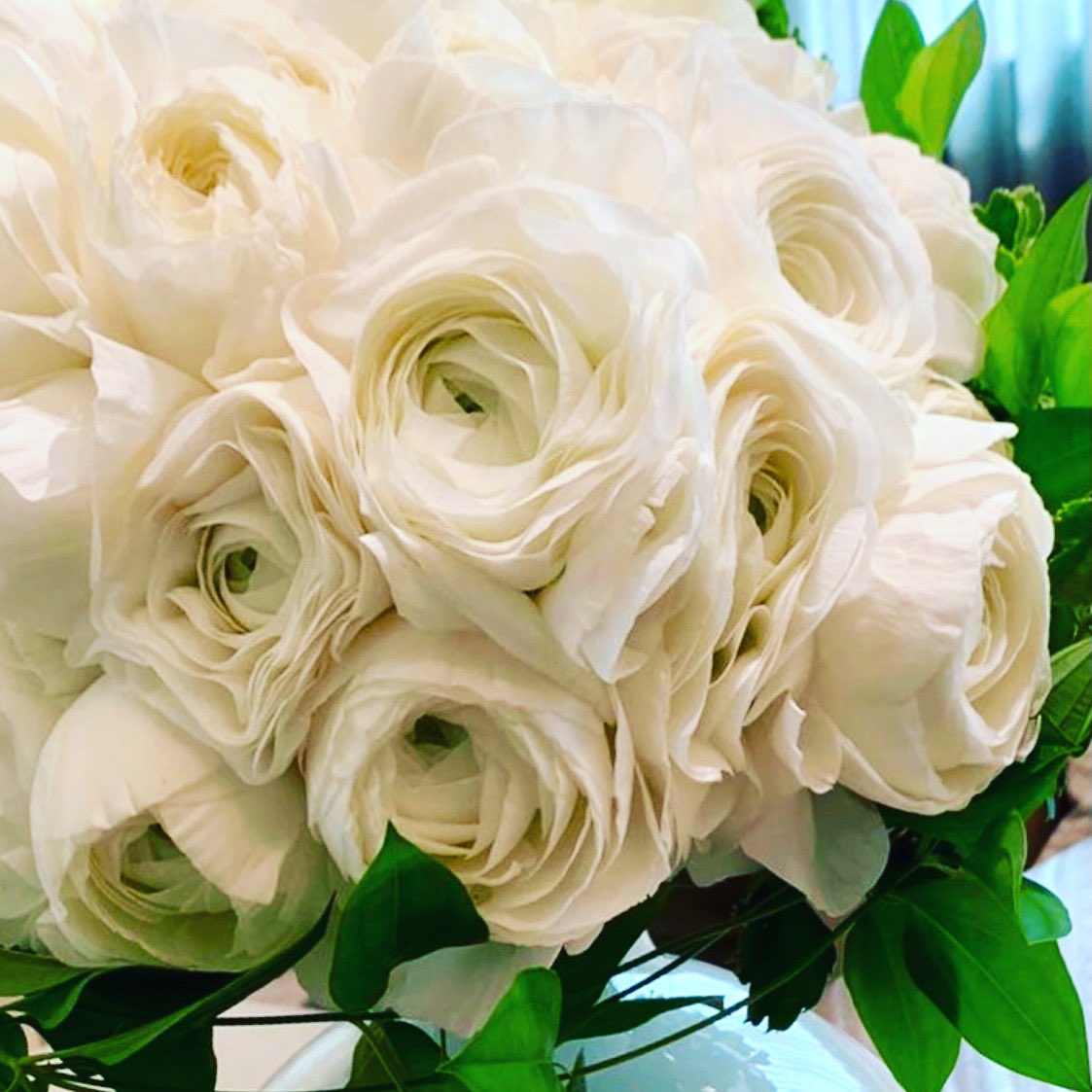 夏木マリさんの投稿を表示しています Bitfan