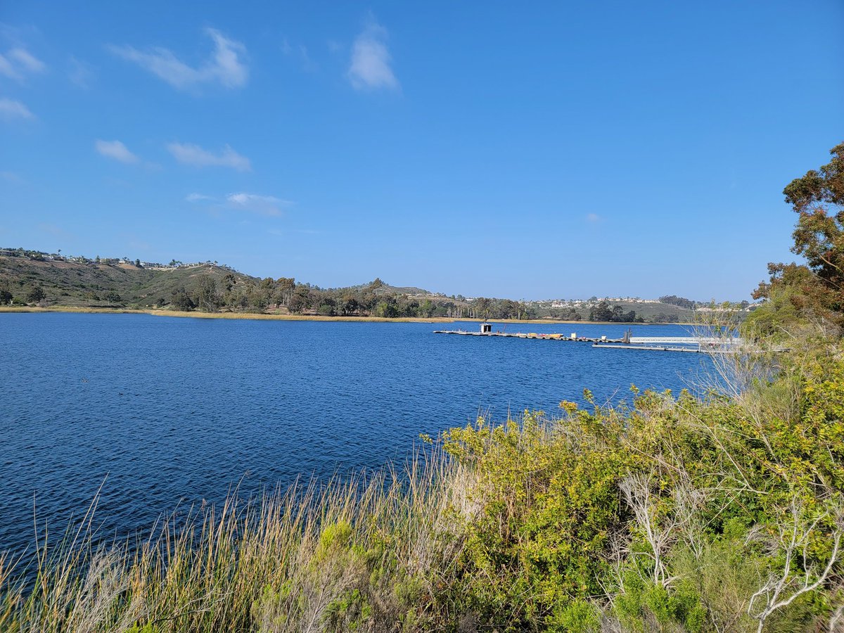 she_is_An0maly's tweet photo. Afternoon out.
Spring in Beautiful Southern California
#SOCALSpring
#SanDiegoSpring https://t.co/Ky0U2iHkc1