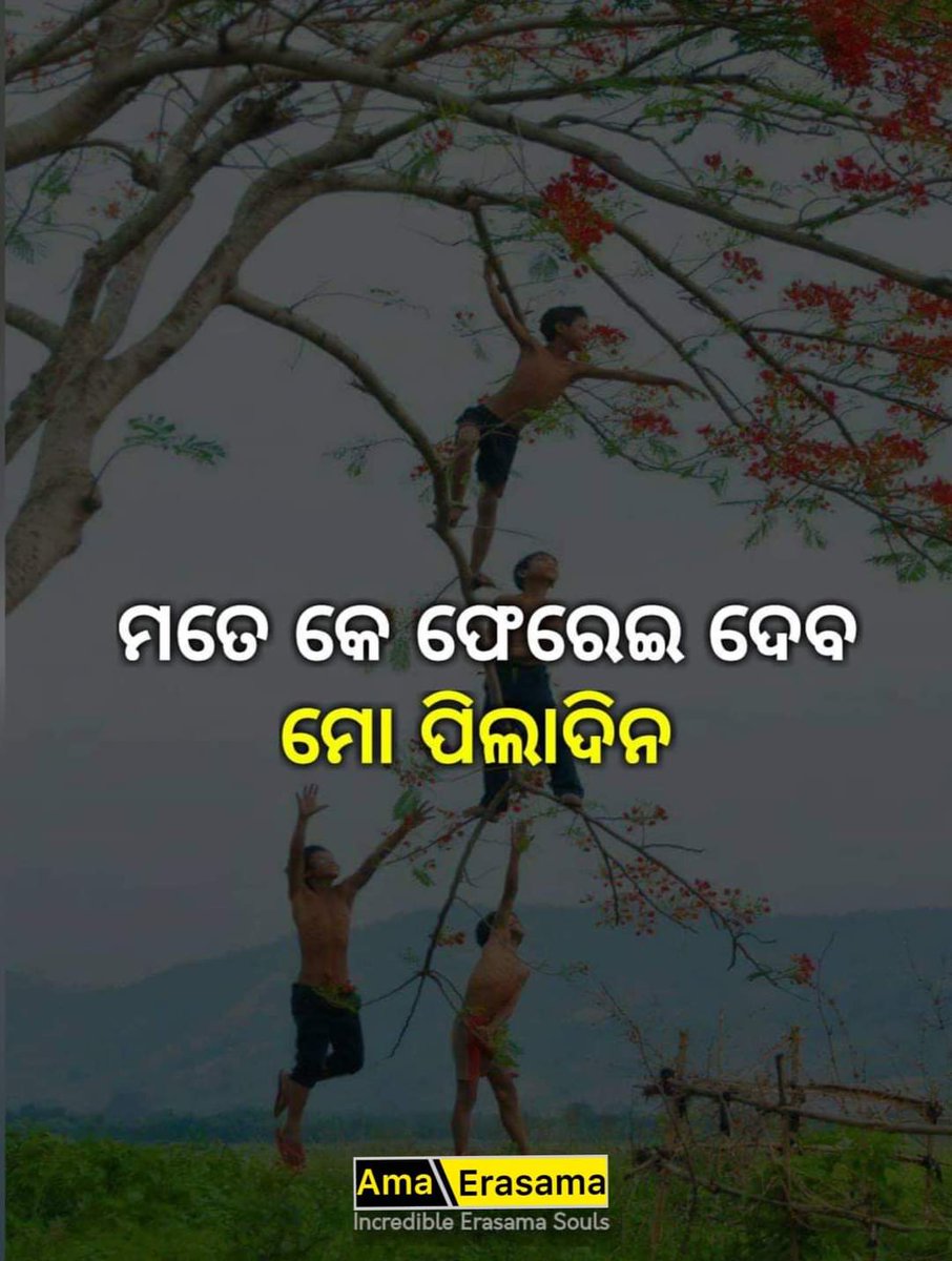 AmaErasama's tweet photo. ମତେ କେ ଫେରେଇ ଦେବ ମୋ ପିଲାଦିନ ♥️

#AmaErasama
#ILoveErasama 💕 https://t.co/86BBu4AdE1