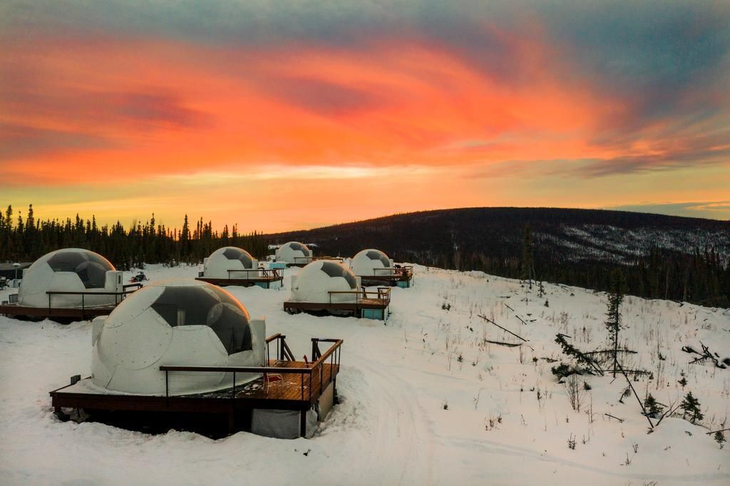 GoThingsIDesire's tweet photo. Borealis Basecamp - https://t.co/MQp6oJe2jo

#Borealis #Basecamp #Places #Travel #UniqueGifts #ThingsIdesire #Desirablestuff #Giftideas #destinations https://t.co/ah9LkZzMCx