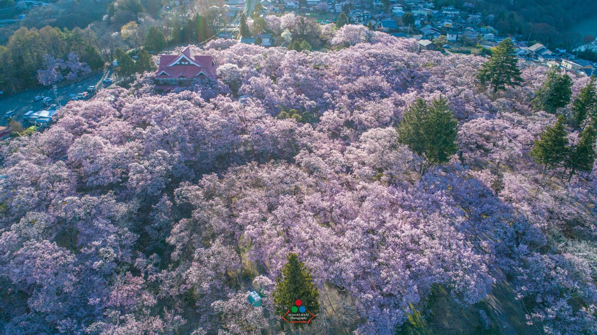 羽仁 正樹 tweet media