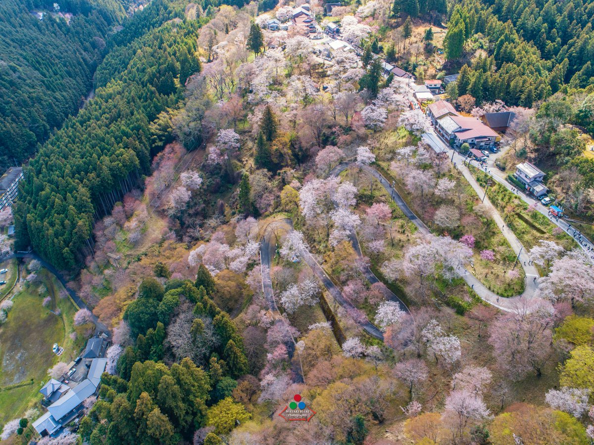 羽仁 正樹 tweet media