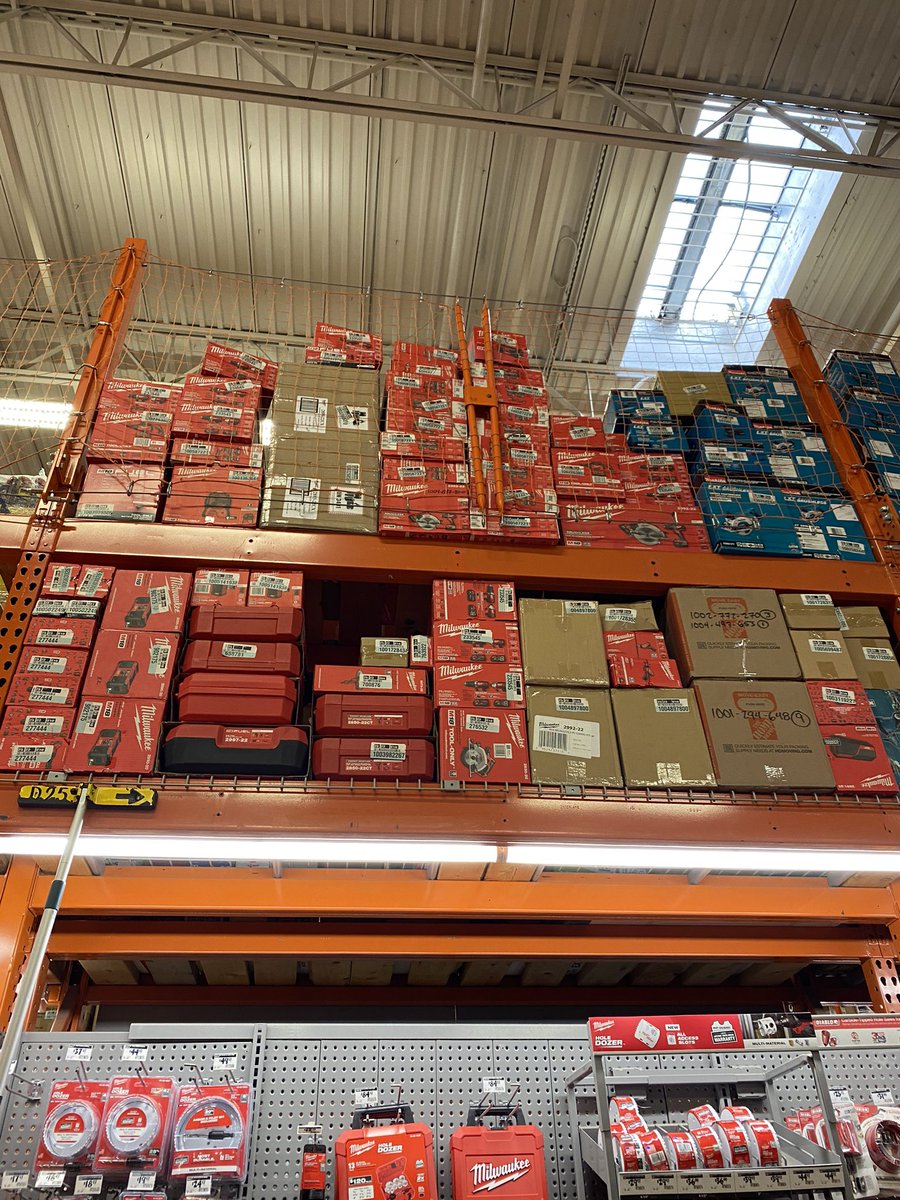 elizabeth tweet media