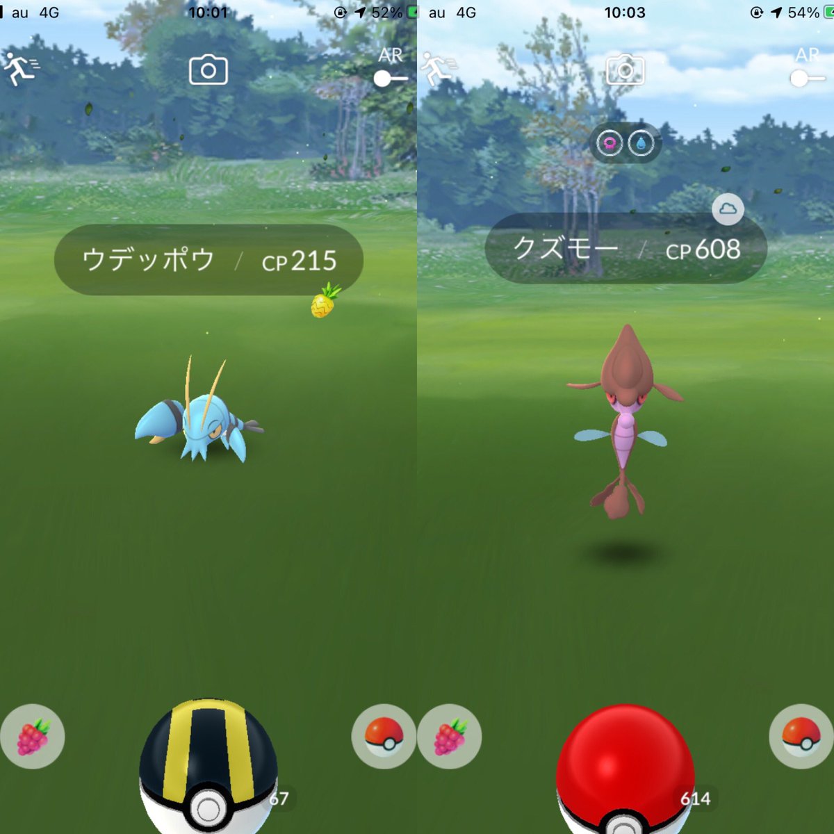 クズモー クズモー