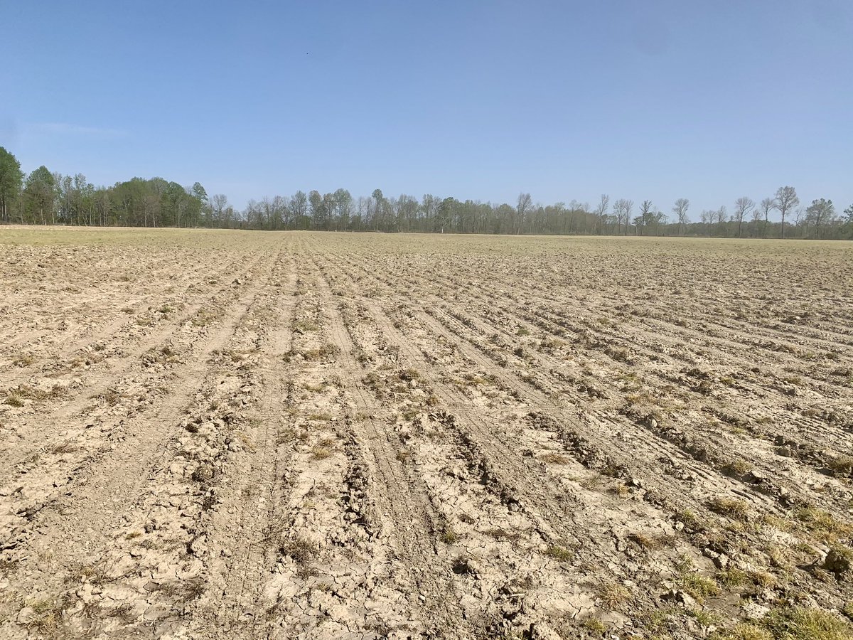 The plot engine 🚂 is running full steam in KY! So smooth we made it a double ✌🏻Soy plot this morning w/@DSMKirby, Shawn Kand, &amp; Beyke Farms in Whitesville, KY. 🌽 plot w/Casey Byrd &amp; Matthew Hampton Farms in Morgantown, KY. Thank you to our wonderful cooperator! <a href="/DKAS_SIN_KY/">DEKALB Asgrow SIN/KY</a>