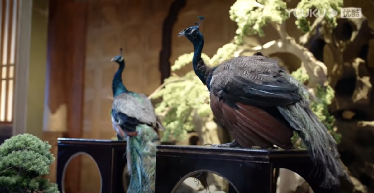 can't pay attention to this scene, have to figure out if these dusty-ass peacocks are real or puppets, and if puppets, how do they work and WHO IS OPERATING THEM DILIGENTLY IN THE BACKGROUND THE WHOLE TIMEwho is the peacock puppeteer and are they proud of their work