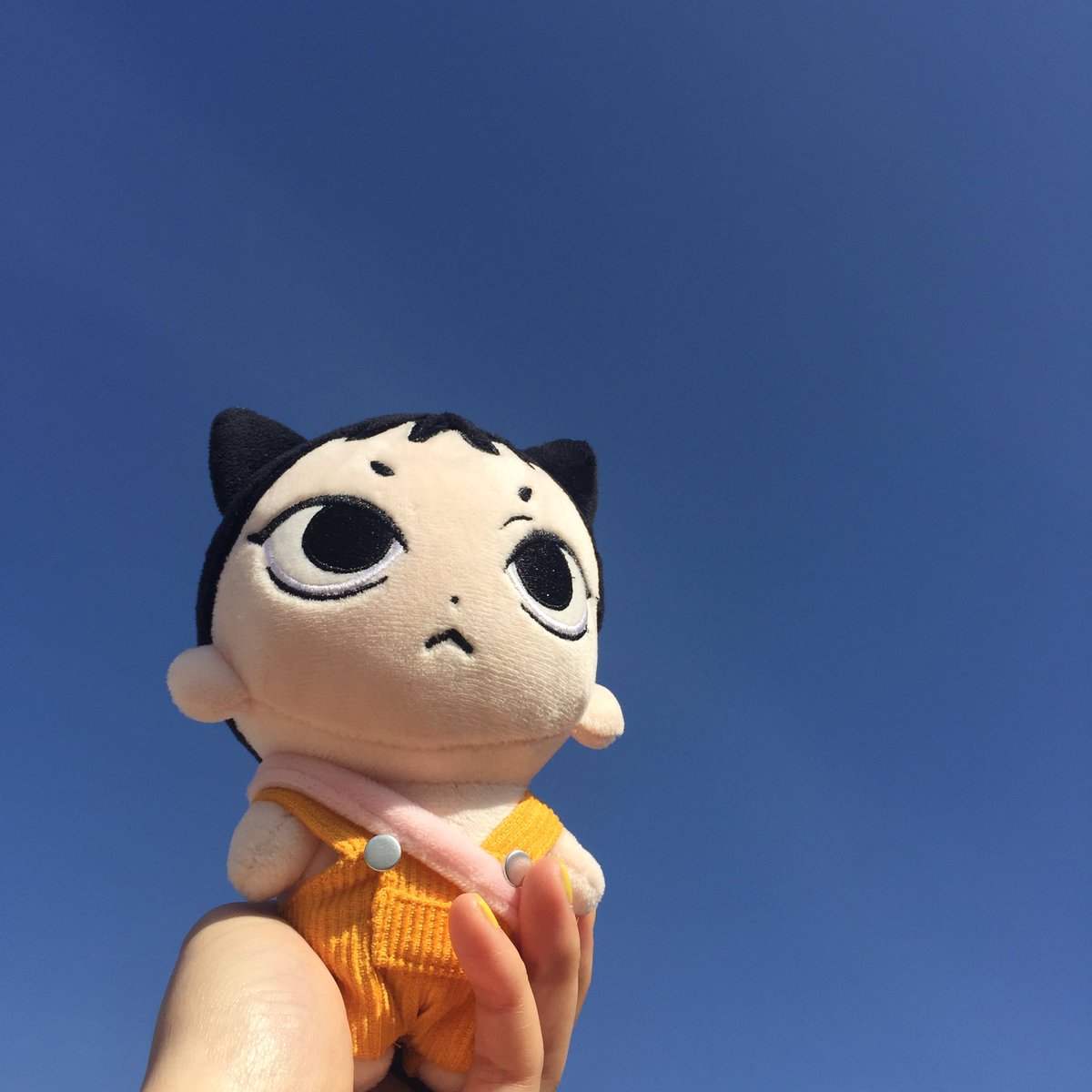 neopetsct's tweet photo. I AM UPLOADING THIS SO LATE IM SORRY he came in a while ago now but thank u @teddyGOs for holding this GO so i could get This Baby. i owe u my life #teddyfeedback https://t.co/BHKiT7t4Gd