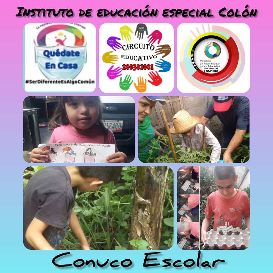 IEEBCOLON's tweet photo. Excelente trabajo desde casa.. felicidades Padres y representantes por su dedicación https://t.co/ANKHFAuTMZ