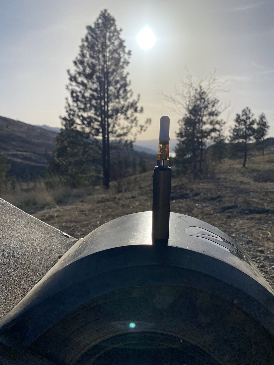 GraemeStaley's tweet photo. #purefarma Sun #onewheel #dirtsurfer https://t.co/hZEtbaz0Yt