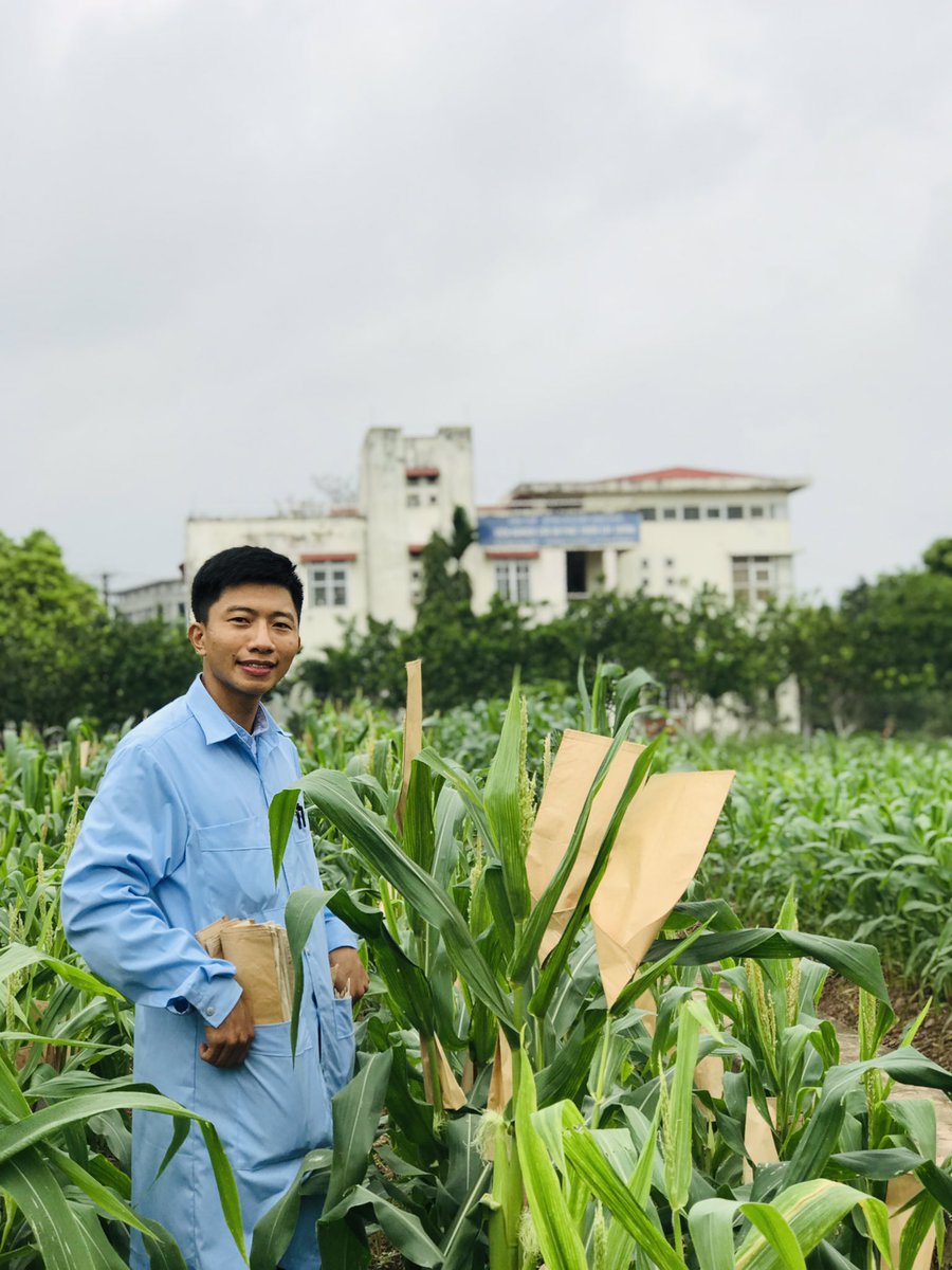 ducstat's tweet image. Plant breeding under physiological perspective, why not ?
#CRDI_VNUA
#VNUA