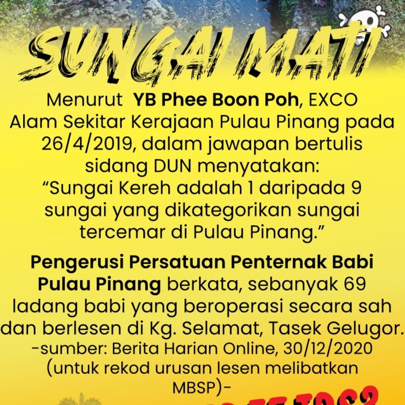 BroZico's tweet photo. Bau busuk , ada lalat jejaskan penduduk Bertam juga. 

Mereka terkesan drpd penternakan khinzir Kg Selamat yg masuk sg Kereh, Penang. 

Report MBSP supaya tindakan diambil ! 

@guanenglim nasihatilah @chowkonyeow
Penang perlukan @yeobeeyin !
 
#SungaiKerehChange https://t.co/9Jwwes8WFT