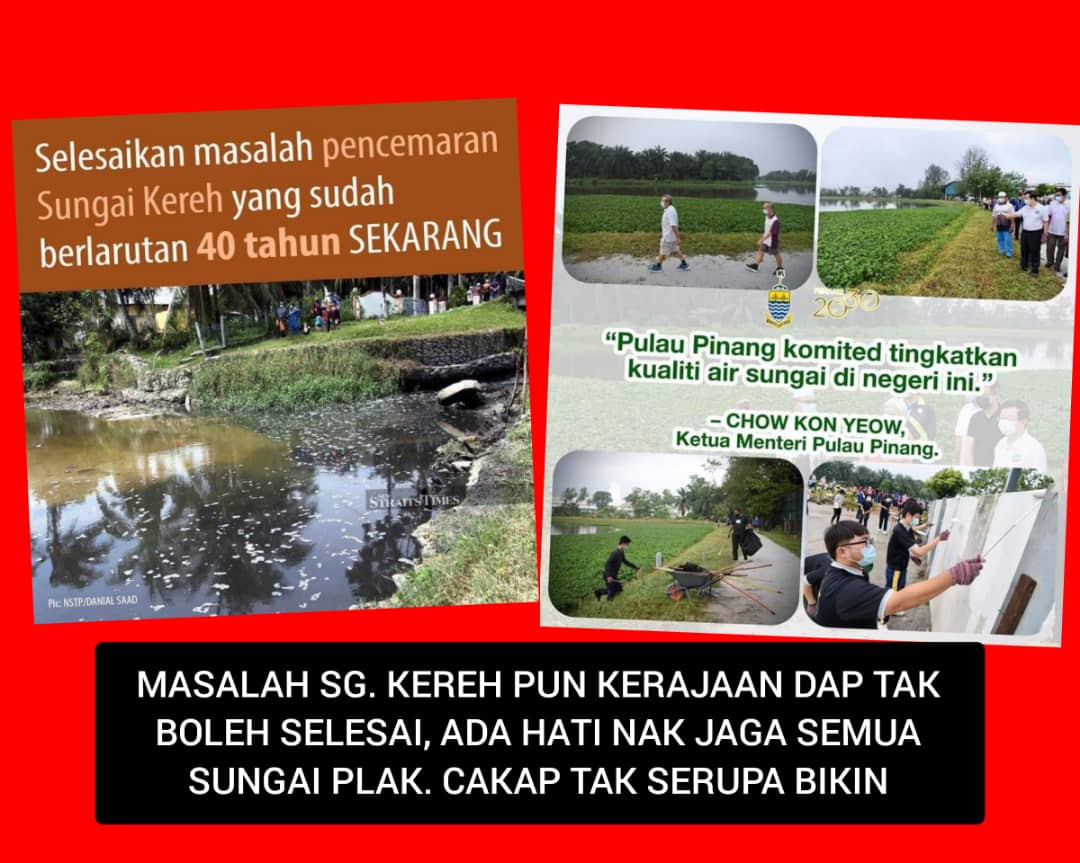 BroZico's tweet photo. Bau busuk , ada lalat jejaskan penduduk Bertam juga. 

Mereka terkesan drpd penternakan khinzir Kg Selamat yg masuk sg Kereh, Penang. 

Report MBSP supaya tindakan diambil ! 

@guanenglim nasihatilah @chowkonyeow
Penang perlukan @yeobeeyin !
 
#SungaiKerehChange https://t.co/9Jwwes8WFT