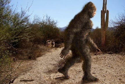sasquatchchron's tweet image. From the blog... Desert Sasquatch - "The last time they look over this tall thing starts to walk down the slope towards them- they then realize that it is likely that tall black thing that my son saw..." - Read more: bit.ly/3rGZVSJ