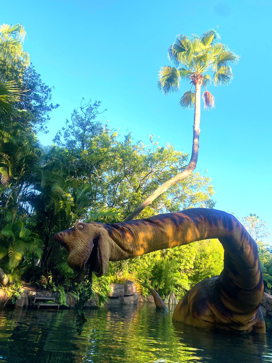MissVanVliet_'s tweet photo. Universal Knights π€©π€π #UCF #universalknights #islandsofadventure #HP https://t.co/LXUklBSu0O