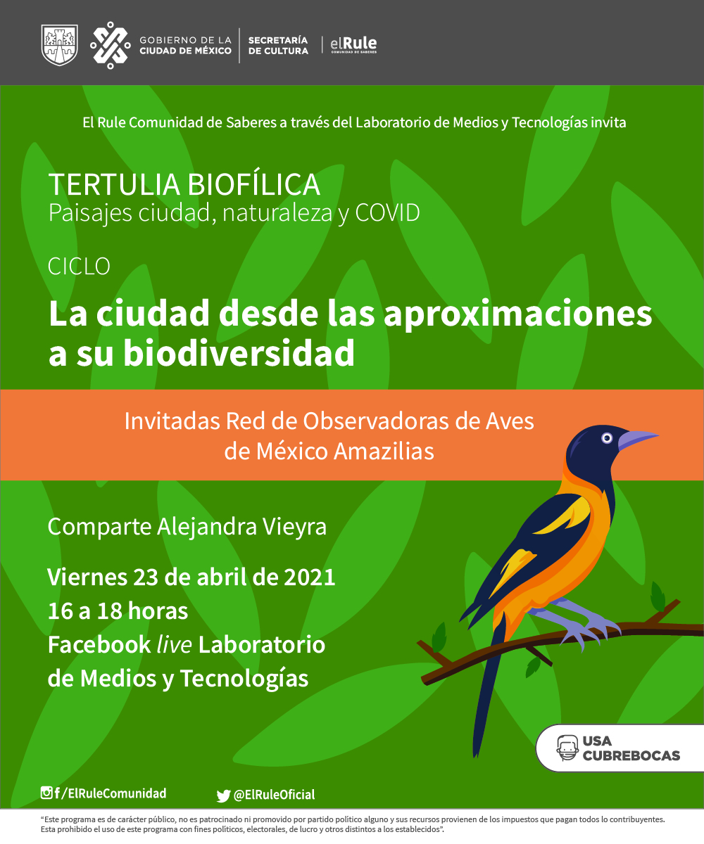 CulturaCiudadMx's tweet photo. ¡Este #FinDeSemana, @ElRuleOficial te espera en su página de Facebook! Checa la programación 👇🏾 y que no se te pase. Mantente atento a sus redes sociales. https://t.co/mRz3m1dCUA