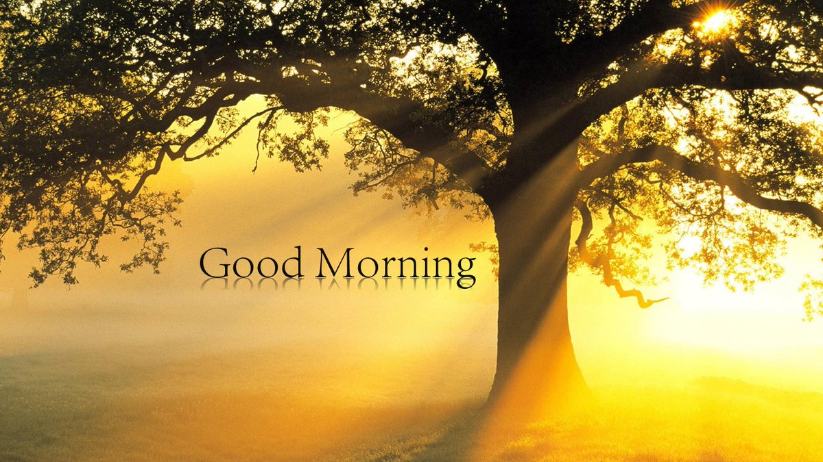 Good Morning informationnet.in/good-morning-n… #goodmorning #GoodMorningEveryone #informationnet