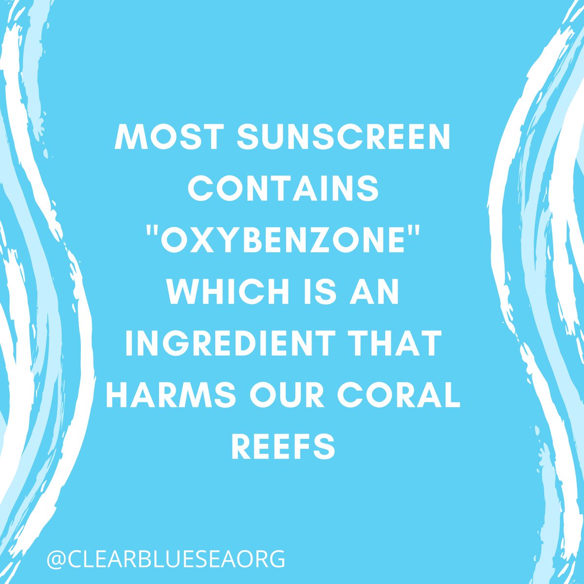 As it gets warmer here in San Diego, look for reef-safe sunscreen to help protect our coral!

#reefsafe #clearbluesea #sandiego