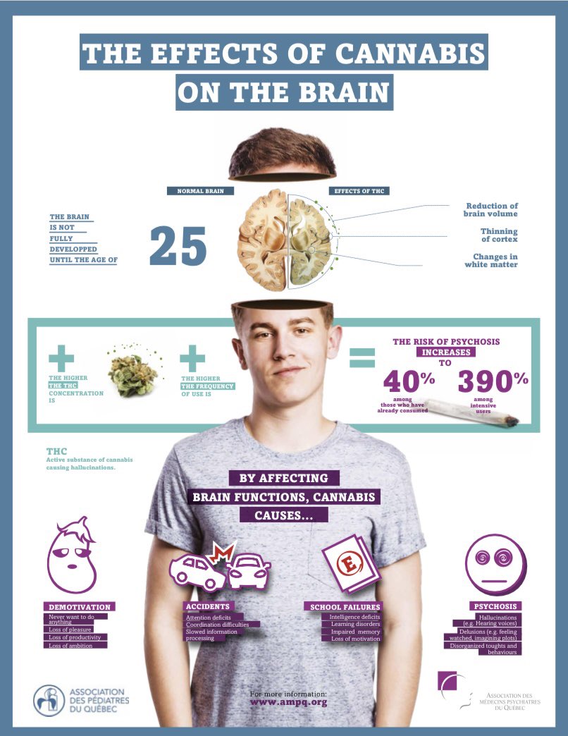 EHKidsHealth's tweet photo. Effects of cannabis on the teen brain #addiction #teens #developingbrains @TCDSB_Psych @PedsOntario @HCDSB @HaltonDSB @DPCDSBSchools @HaltonPolice @TOPublicHealth @TorontoPolice @HaltonPolice 🧠 https://t.co/AXIxtcvGUF #mentalhealth https://t.co/mE71Jl75TY