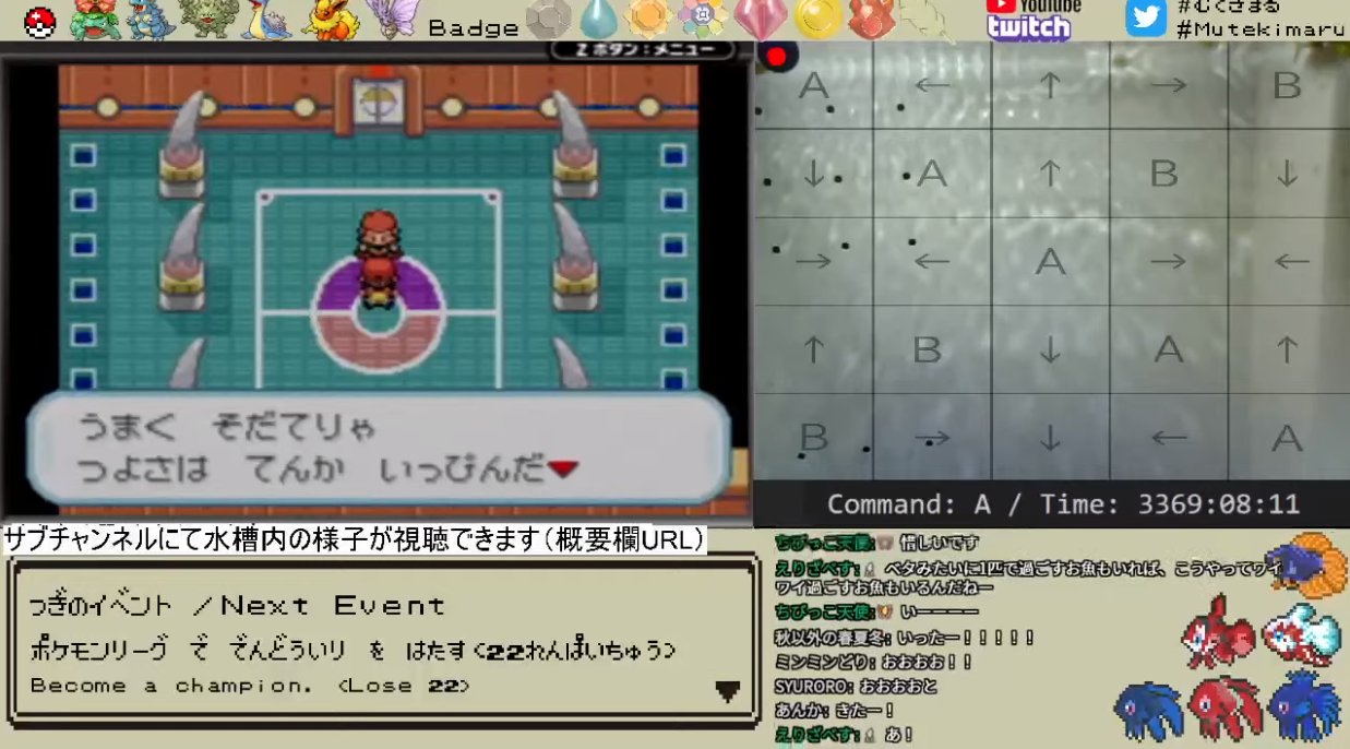 ツッキー ポケモン垢 Pkmn Em Twitter