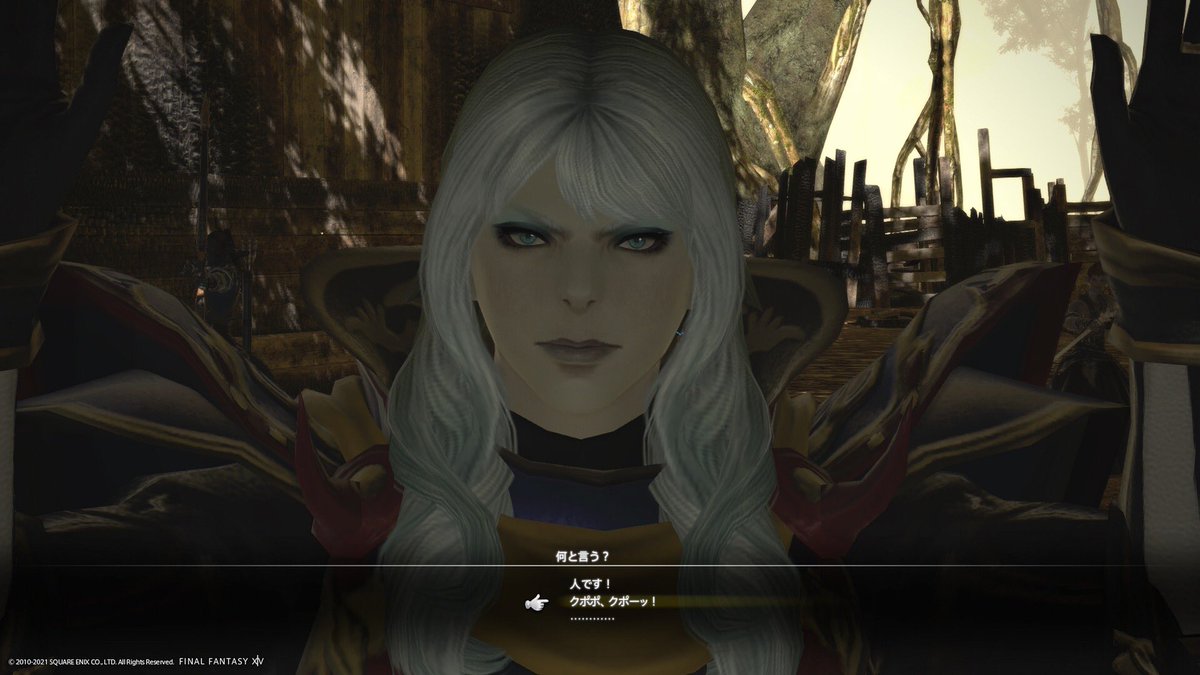Warrior0f_Light's tweet photo. #メンテだしとにかくあなたのssが好きって思ってくれるひとと出逢うために自分の推しssをそっと置いていく 
#ウォーリア・オブ・ライト
#FF14
#FFXIV https://t.co/2caRzFwBUI