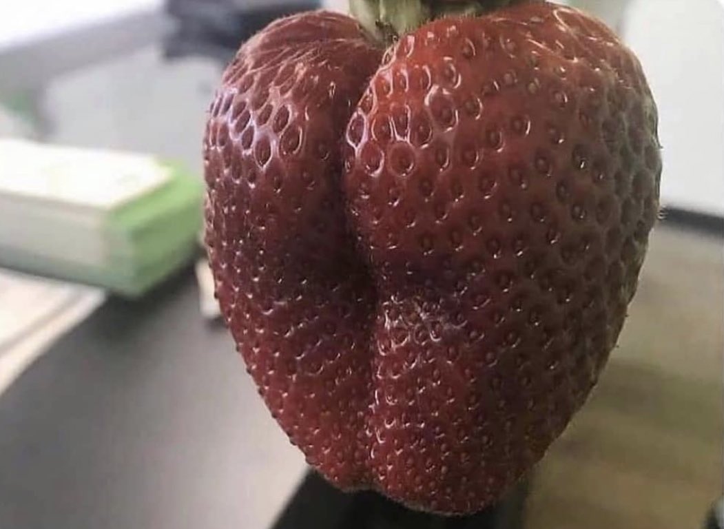 AngelMelly's tweet image. hear me out..