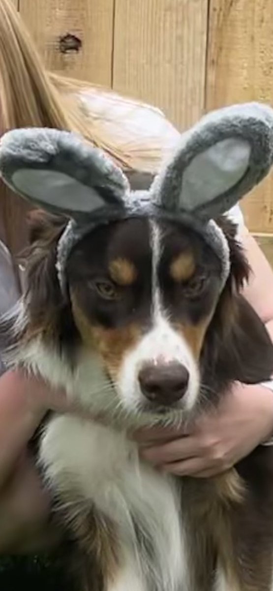 When you get forced to do something you don’t want to do.....
