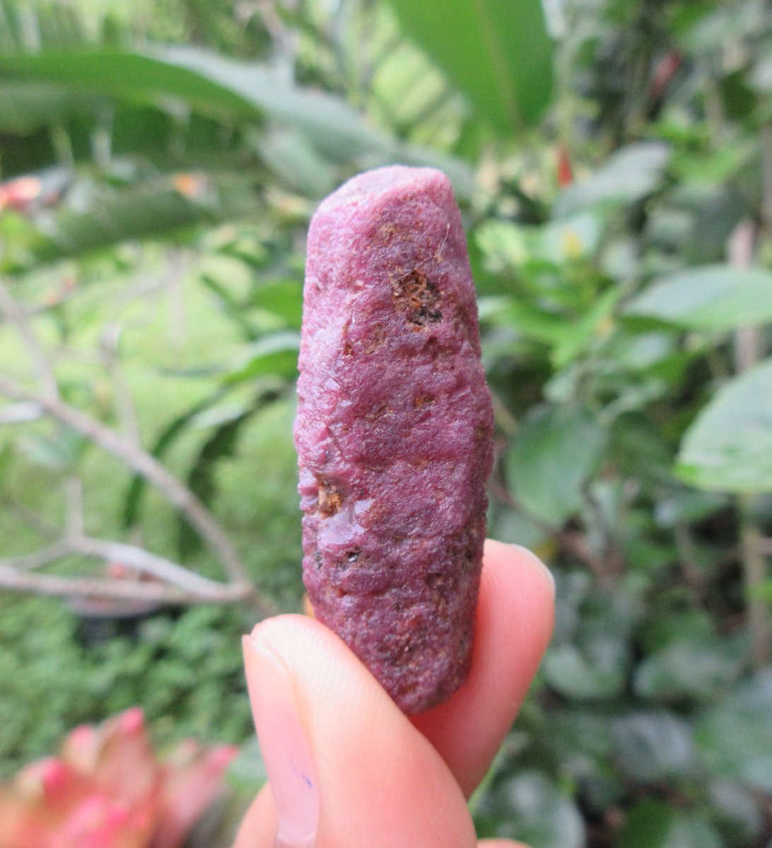 crystalworld_1's tweet photo. Excited to share the latest addition to my #etsy shop: Ruby Crystal. Natural Barrel. Red Ruby From Tanzania. 104.25 Crt https://t.co/oFAu9bkQNH #red #purple #ruby #meditation #rubyrough #rubycrystal #redstone #rawruby #naturalrubycrystal https://t.co/8gl2zwga1R