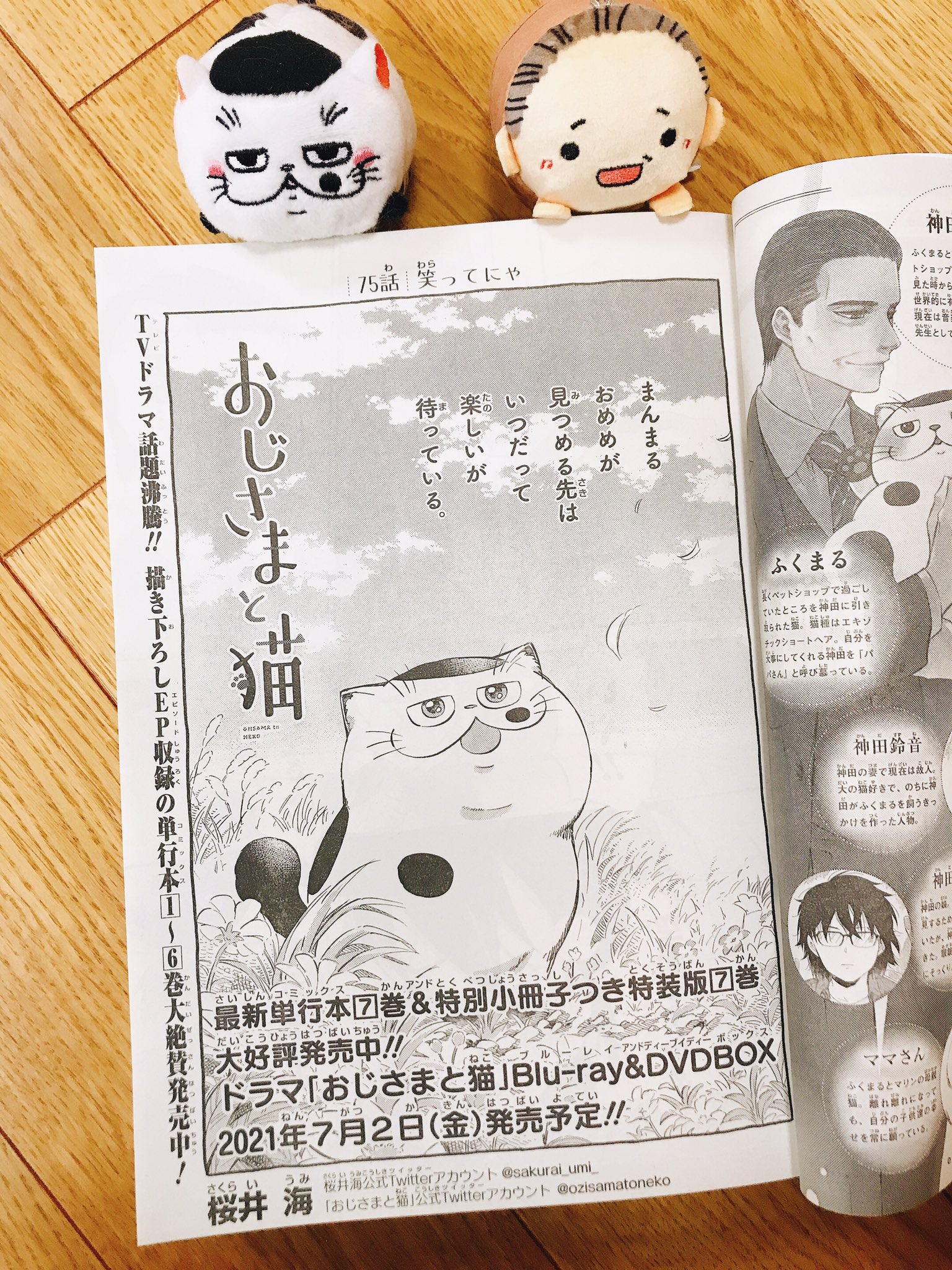桜井海 おじ猫7巻発売中 ドラマ放送中 月刊少年ガンガン5月号が発売しました にゃんと今号でガンガン30周年 記念漫画書きました おじさまと猫75話が載っています よろしくお願いします おじさまと 桜井海 おじ猫7巻発売中 ドラマ放送中 月刊少年ガンガン5月号が発売しました にゃんと今号でガンガン30周年 記念漫画書きました おじさまと猫75話が載っています よろしくお願いします おじさまと