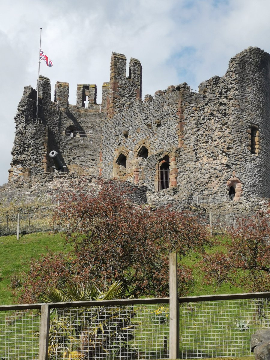 After yesterday's bizarre 't-shirt in the snow' weather, today is looking more settled! What are you planning to do today? We are having a chill day with the new kitties 😻
Check out some amazing venues near you on our site kiddiesdayout.com
Pic: Dudley Zoo yesterday 🐒🐯🐪