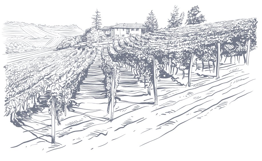 Heidsieck &amp; Co. Monopole is based and produced in Epernay, one of the key regions for the production of wine where many of the famous and original names in Champagne are established 💛

#monopolemoments #monopole #champagne #monopolechampagne